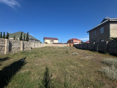 image 376309