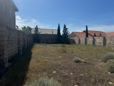 image 376309