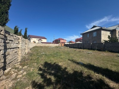 image 376309