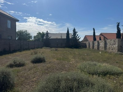image 376309
