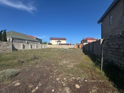 image 376309