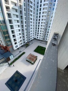 image 376321