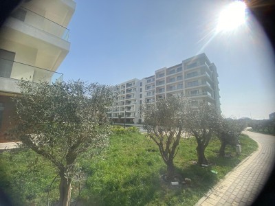 image 376330
