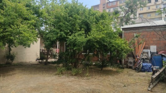 image 376334