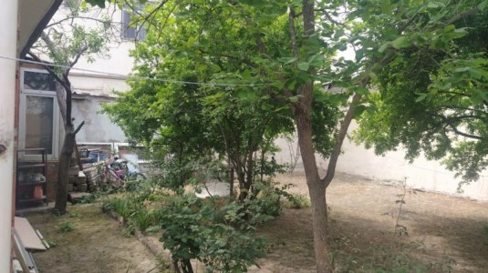 image 376334