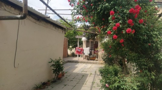 image 376334