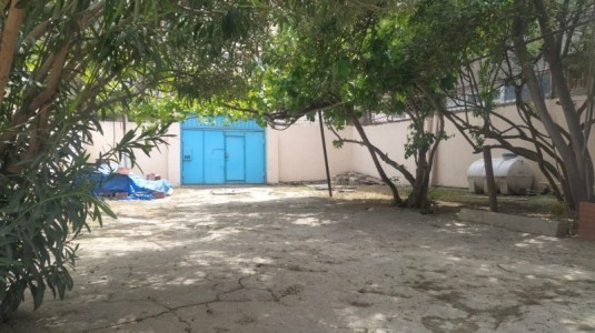 image 376334