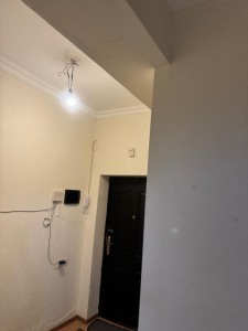 image 376336