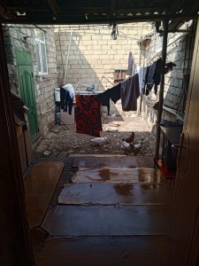 image 376337