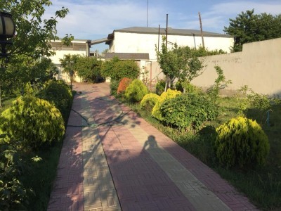 image 376362