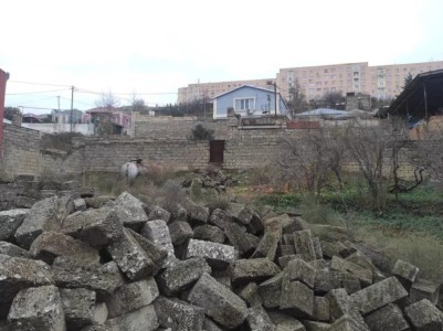 image 376377