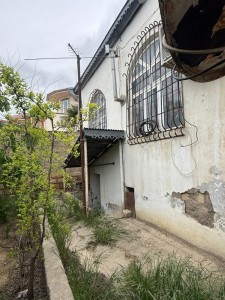 image 376378