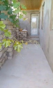 image 376392