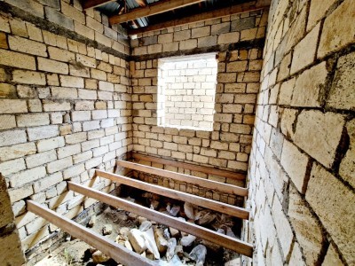 image 376397