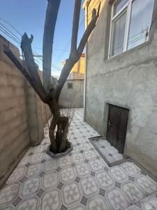 image 376411