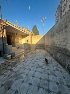 image 376411