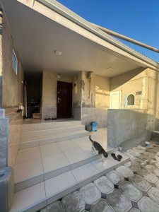image 376411