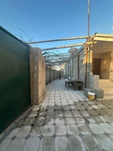 image 376411