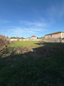 image 376413