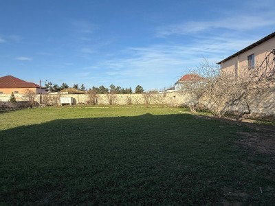 image 376413