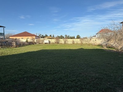image 376413