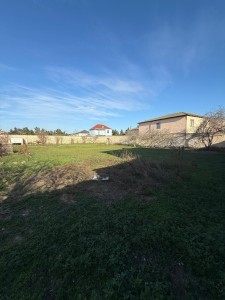 image 376413