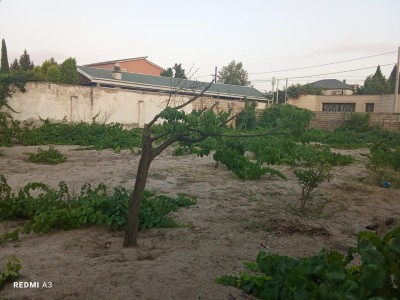 image 376425