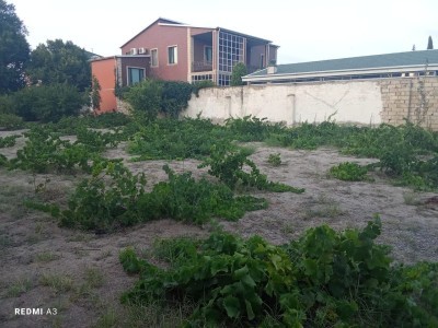 image 376425