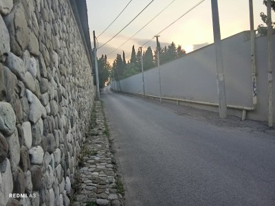 image 376425
