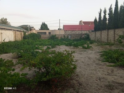 image 376425