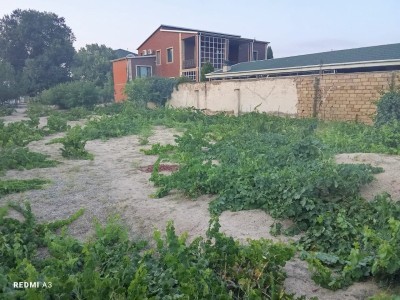 image 376425