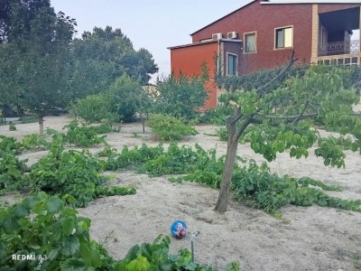 image 376425