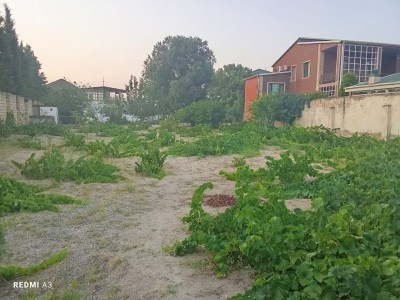 image 376425