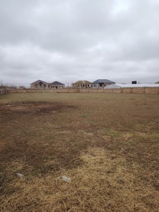 image 376426