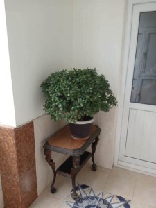 image 376433