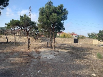 image 376460