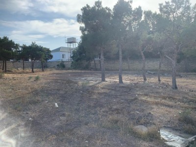 image 376460