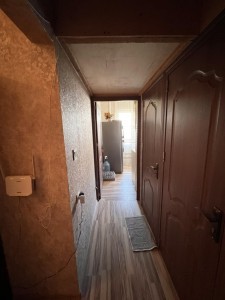 image 376484