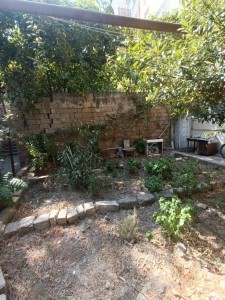 image 376491