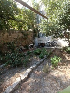 image 376491