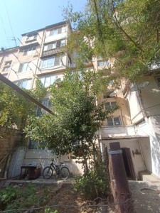 image 376491