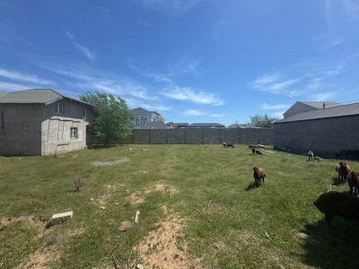 image 376496