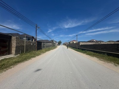 image 376496