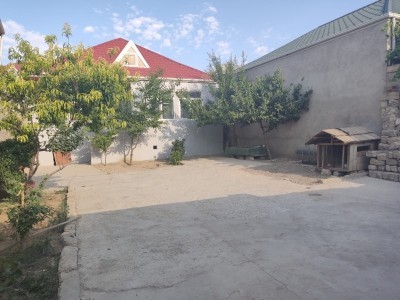 image 376497