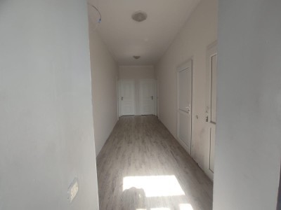 image 376497