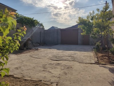 image 376497