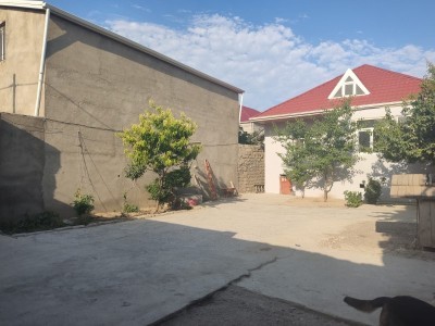 image 376497