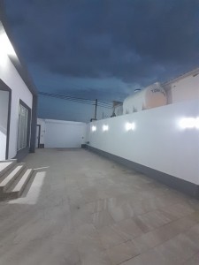 image 376499