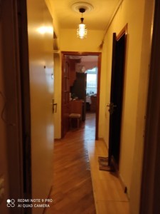 image 376500