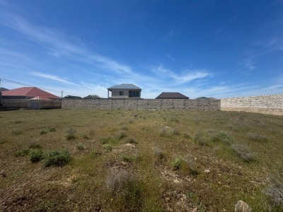image 376504